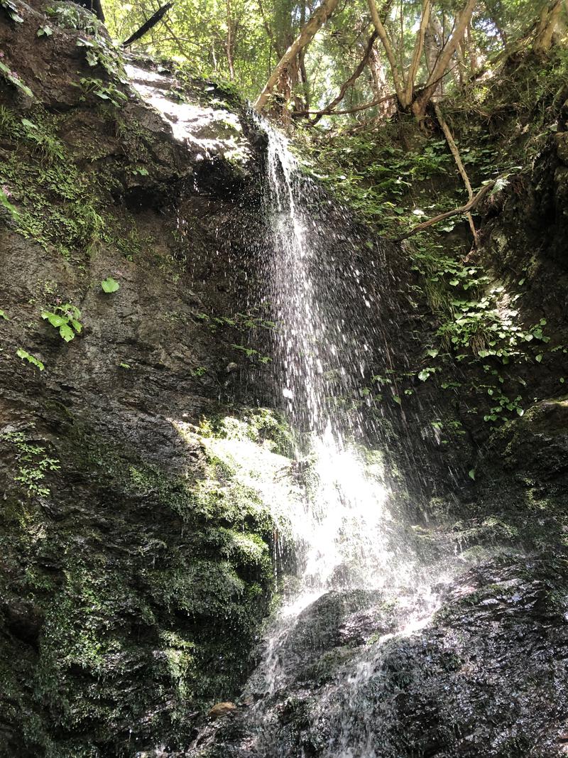 せいさんさんの山梨泊まれる温泉 より道の湯のサ活写真