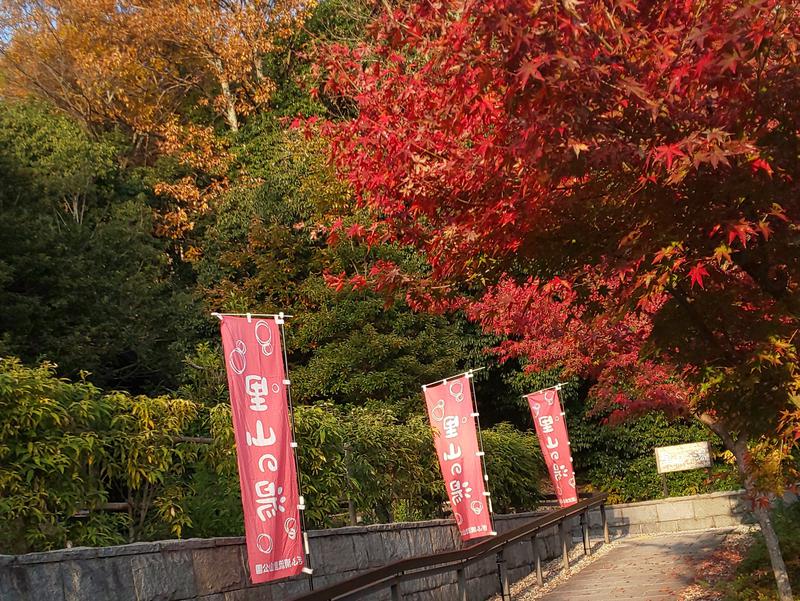 ふろのひさんの里山の湯のサ活写真