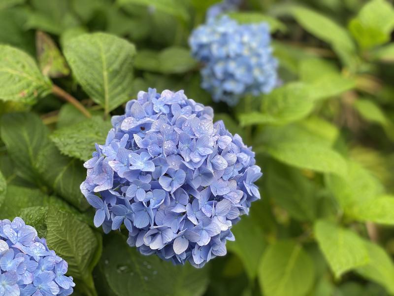 小籠包さんの中延記念湯のサ活写真