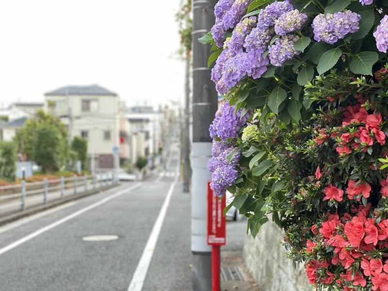 小籠包さんの中延記念湯のサ活写真