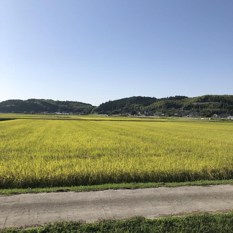 リーさんのまごし温泉のサ活写真