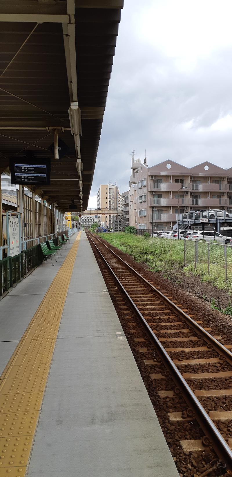 とりこだまさんの新川温泉のサ活写真