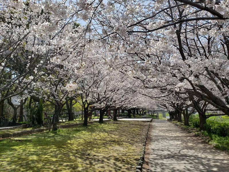 kiroさんのふくの湯 花畑店のサ活写真