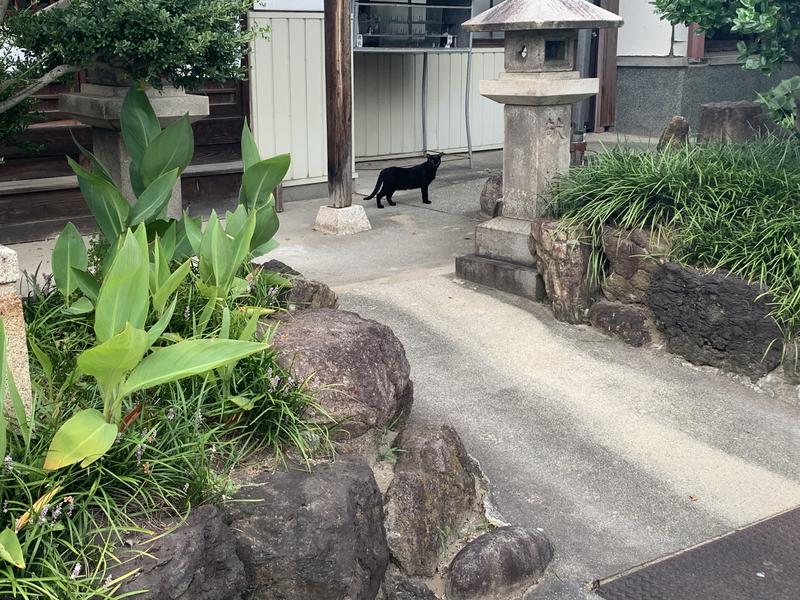 J  🎶🎶🎶さんの八幡湯のサ活写真