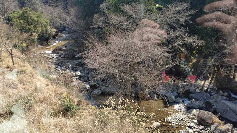 ジャグサウナーさんの英彦山温泉 しゃくなげ荘のサ活写真