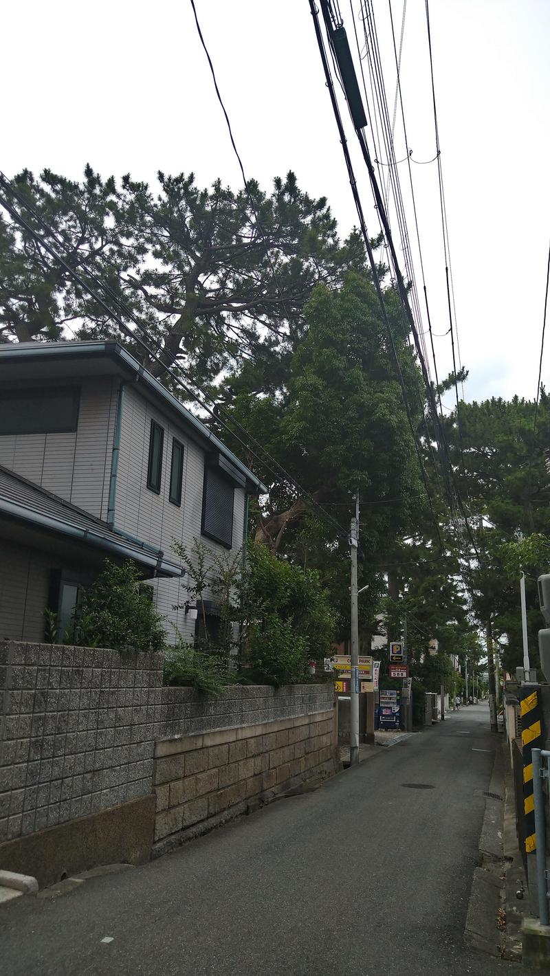 伊坂十蔵さんの恋野温泉うはらの湯のサ活写真