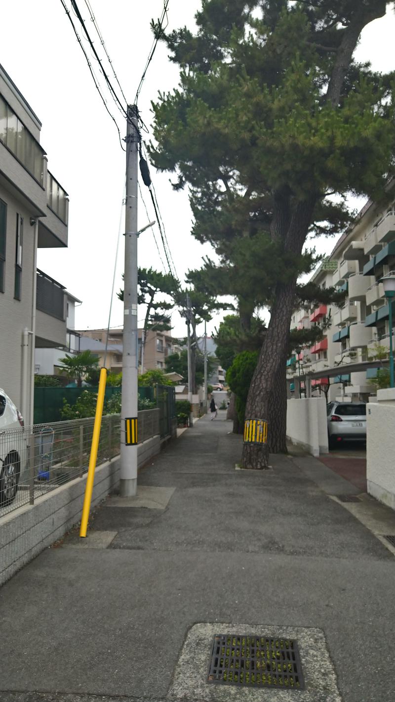 伊坂十蔵さんの恋野温泉うはらの湯のサ活写真