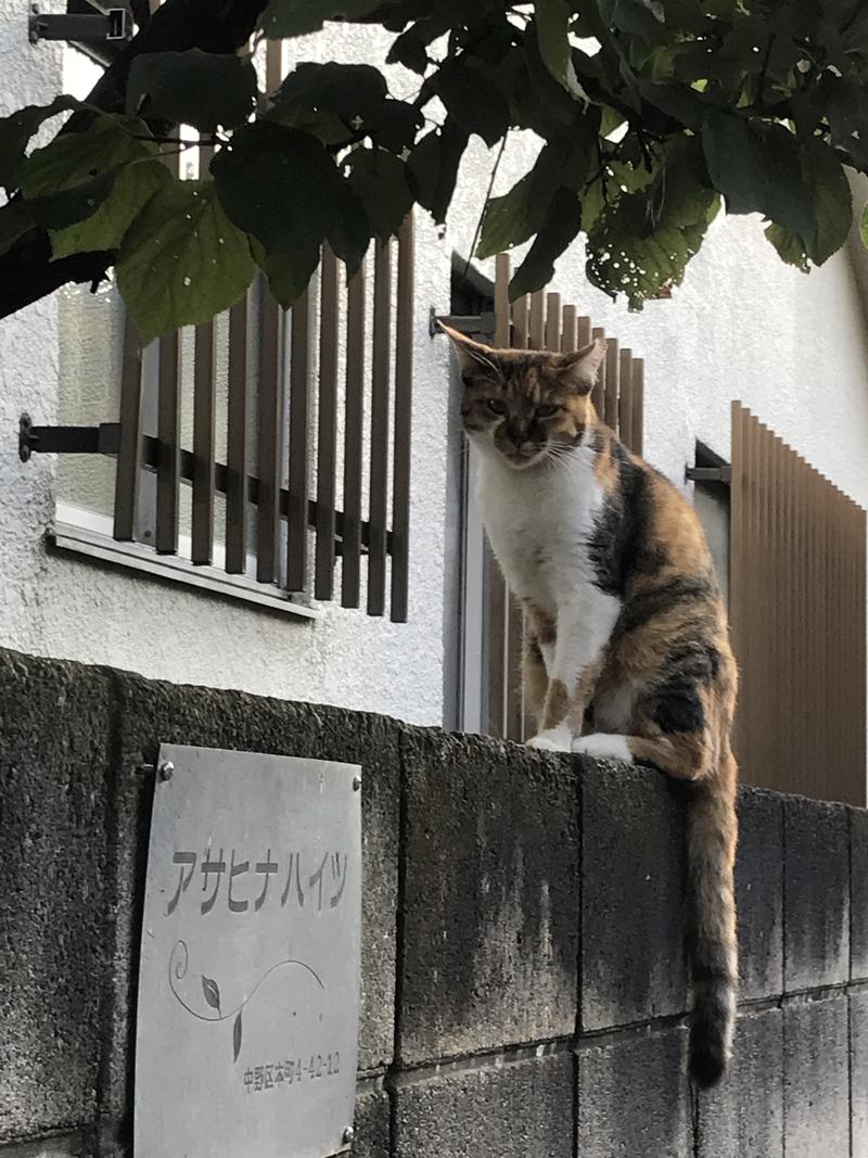 おヌシちゃん1級さんの大黒湯のサ活写真