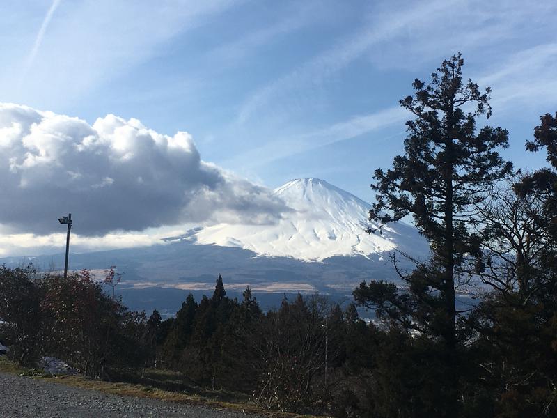 のざさんの富士八景の湯のサ活写真