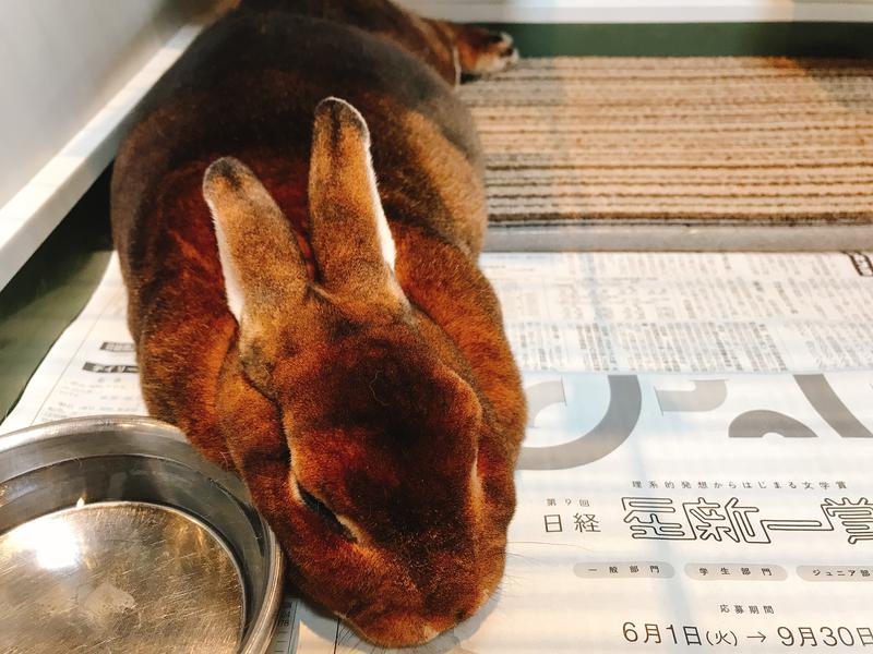 カラーひよこさんの深大寺天然温泉「湯守の里」のサ活写真