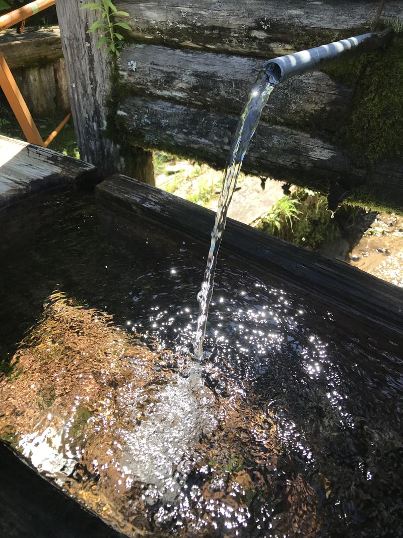 でらそ・るさんの稲武温泉 どんぐりの湯のサ活写真