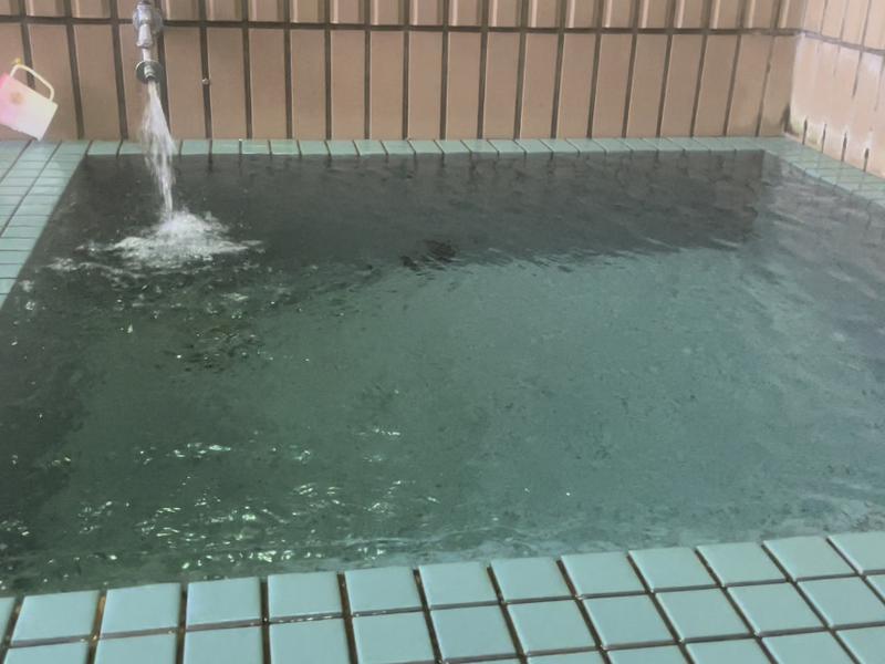 川口温泉 奥羽山荘 水風呂