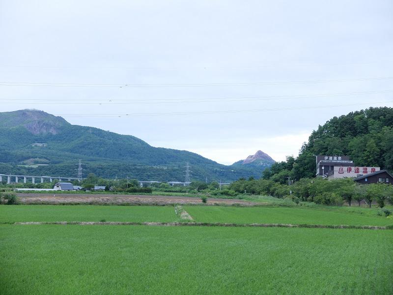 快特ういんでぃーさんの伊達温泉のサ活写真