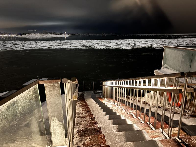 Löyly バルト海へドボン