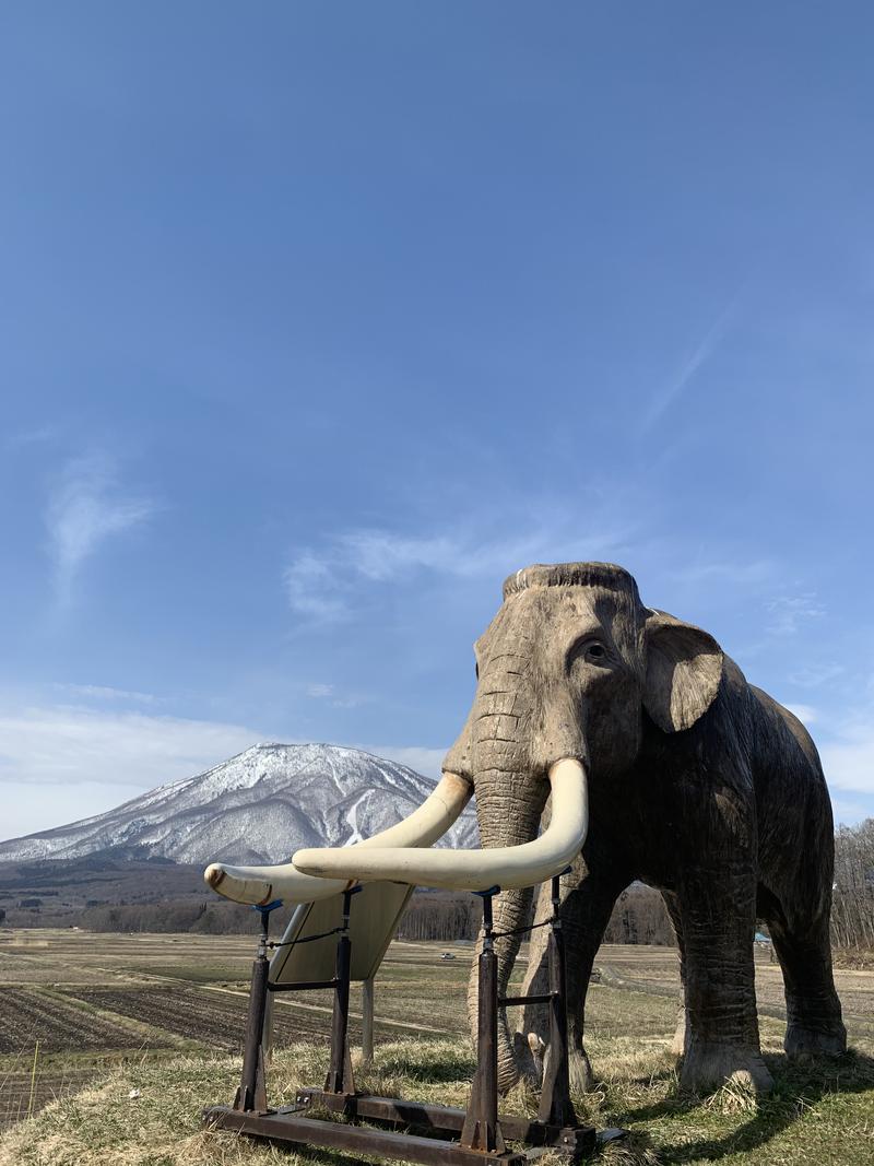 盆地住まいさんのThe Saunaのサ活写真