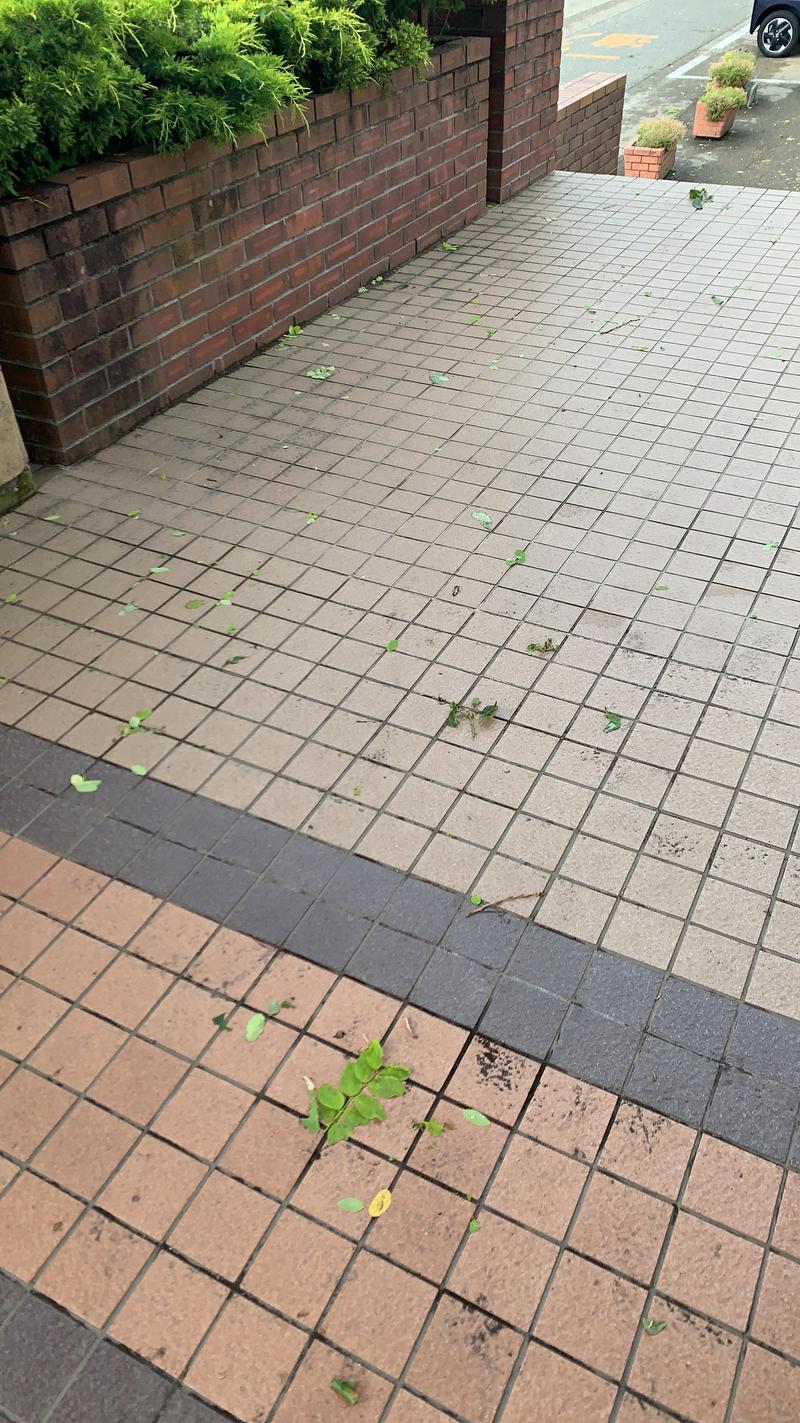 富士彩シスターさんの花と緑と安らぎの湯 東和温泉のサ活写真