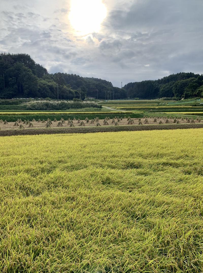 盆地住まいさんの立科温泉 権現の湯のサ活写真