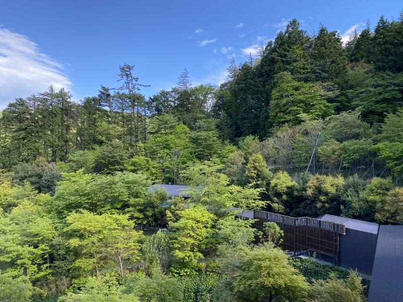 バイブラ二郎さんの箱根小涌園 天悠のサ活写真