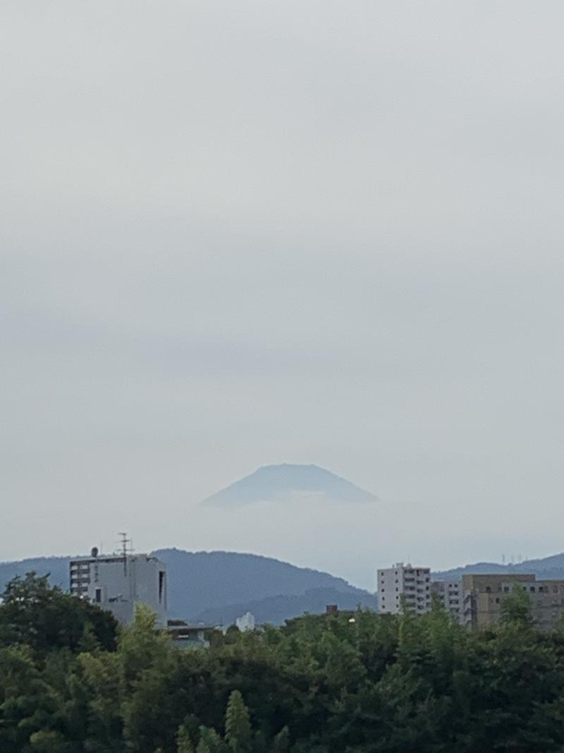 やすさんの名水はだの富士見の湯のサ活写真