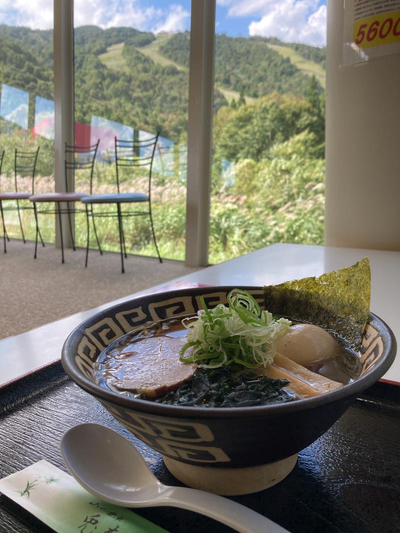 蒸しパンダさんの夏油高原温泉 兎森の湯のサ活写真