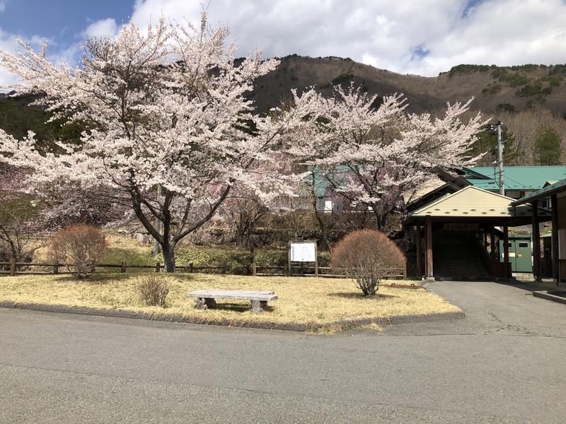 あべさんの夏虫のお湯っこのサ活写真