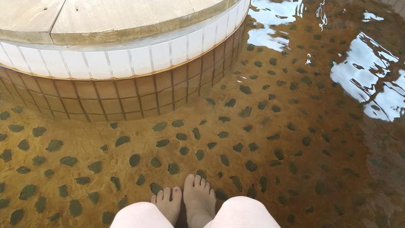 よめぞうさんの鳥海温泉保養センターあぽん西浜のサ活写真