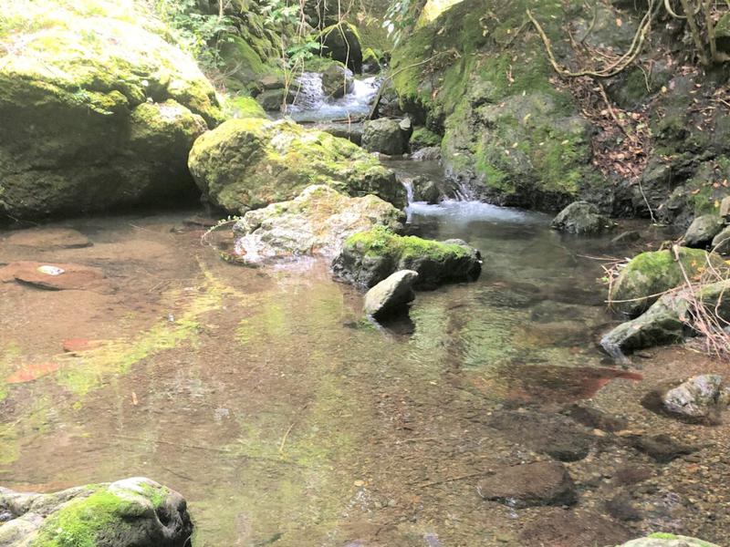 黒滝のお宿 ~森と川と~ 水風呂(川)