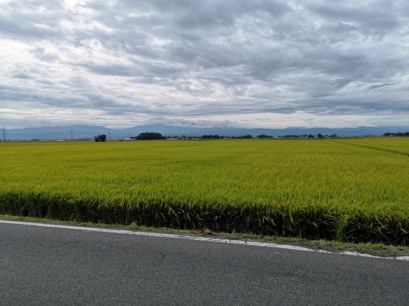 オフロ保安庁のKGN長官さんの長沼温泉 ぽっぽの湯のサ活写真