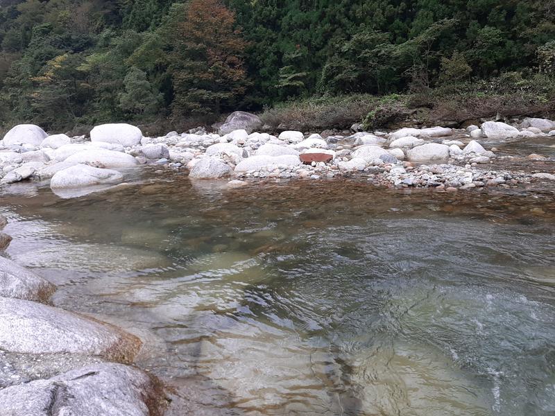片貝山ノ守キャンプ場 冷たくてきれいな川が水風呂代わり！