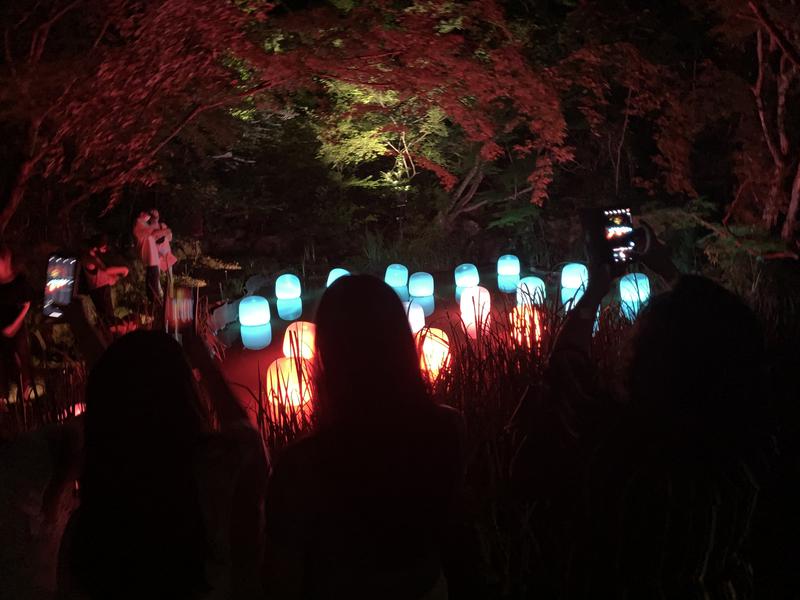 Uoさんの御船山楽園ホテル  らかんの湯のサ活写真