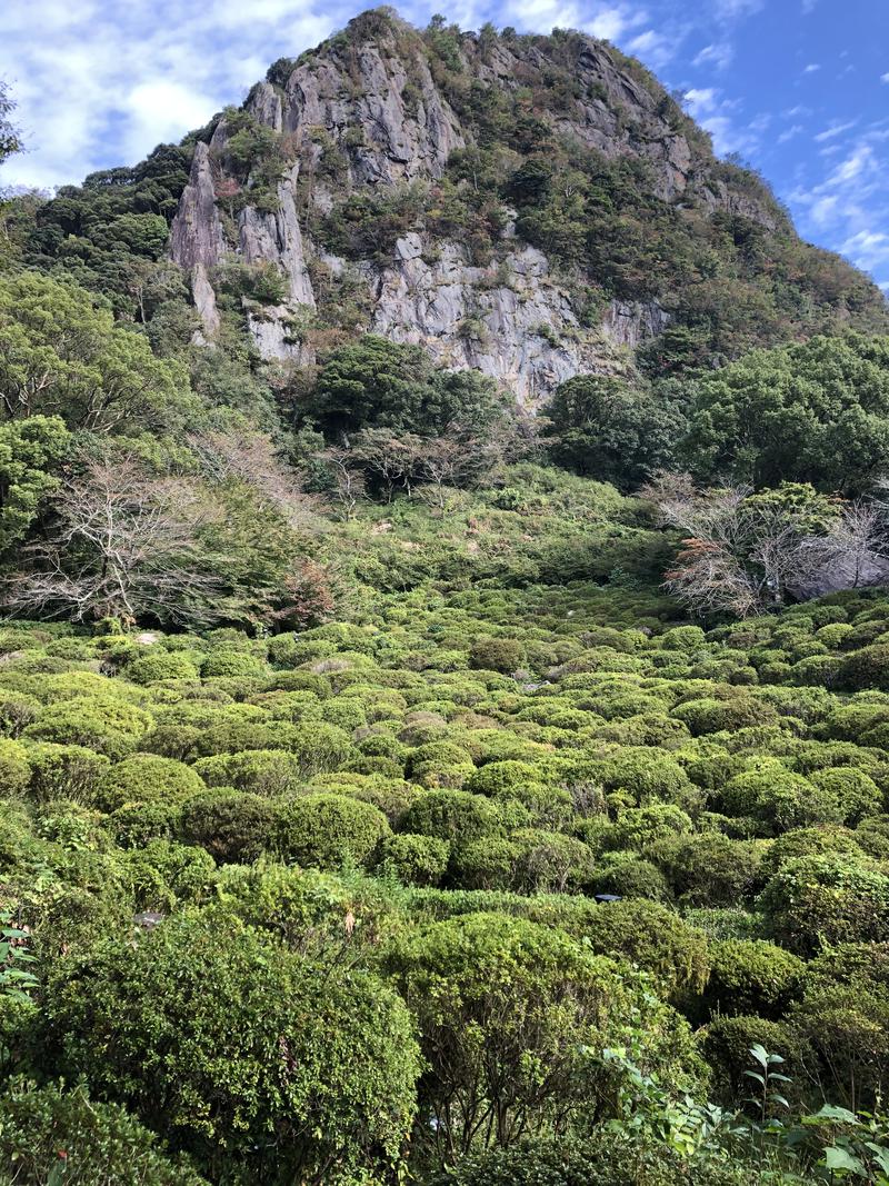 どらみつさんの御船山楽園ホテル  らかんの湯のサ活写真