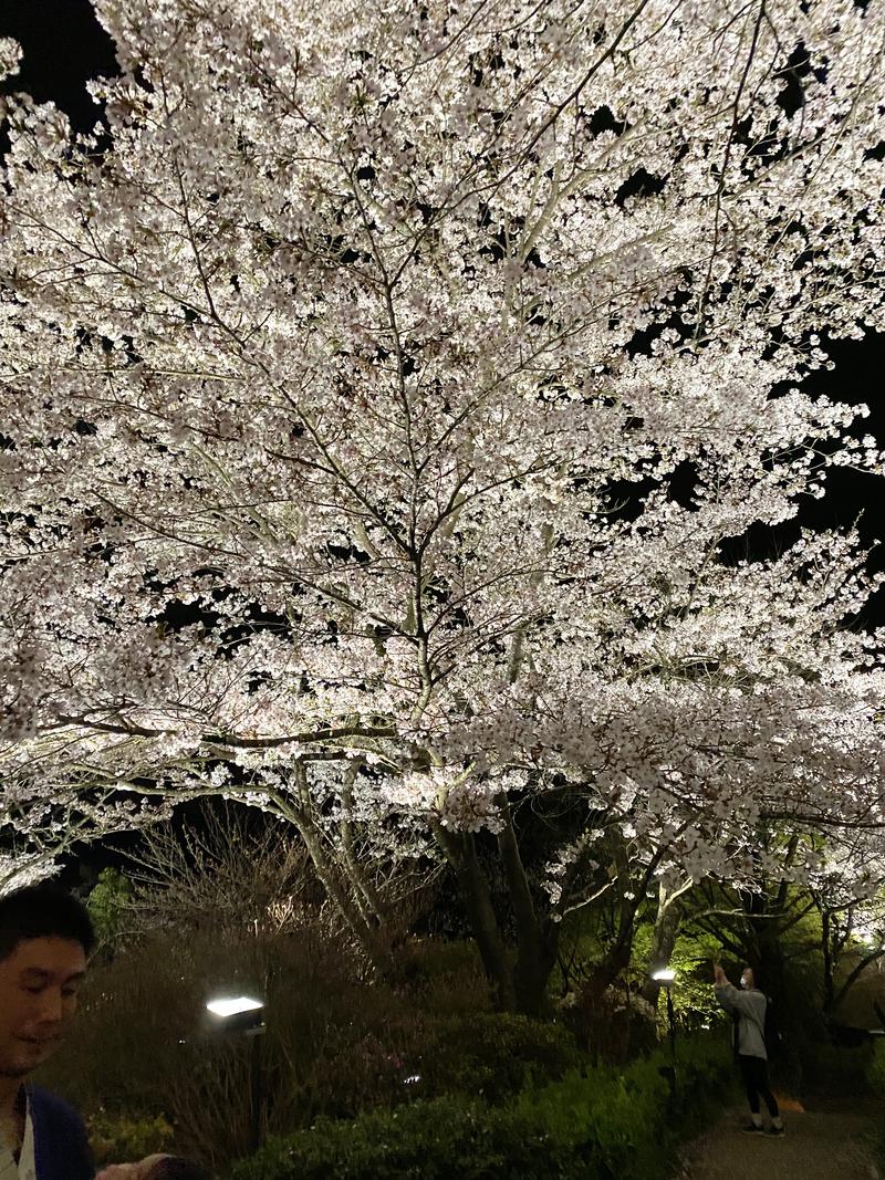 よっさんさんの御船山楽園ホテル  らかんの湯のサ活写真