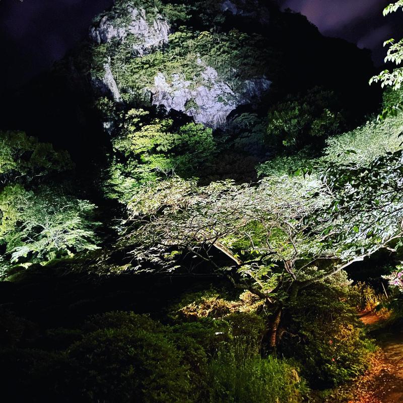 大分県のサウナーさんの御船山楽園ホテル  らかんの湯のサ活写真