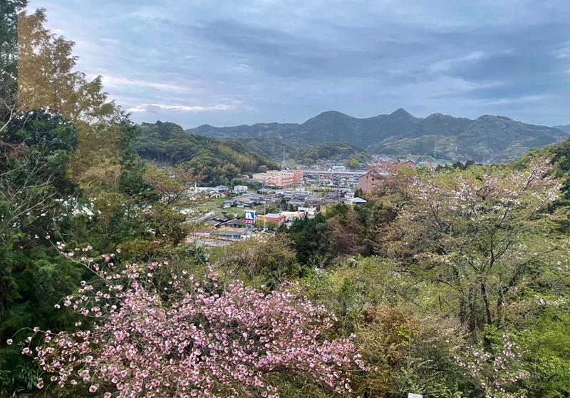 ネコチャンマンさんの御船山楽園ホテル  らかんの湯のサ活写真