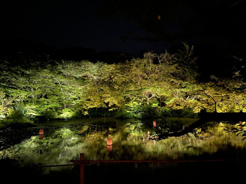 べび太郎さんの御船山楽園ホテル  らかんの湯のサ活写真