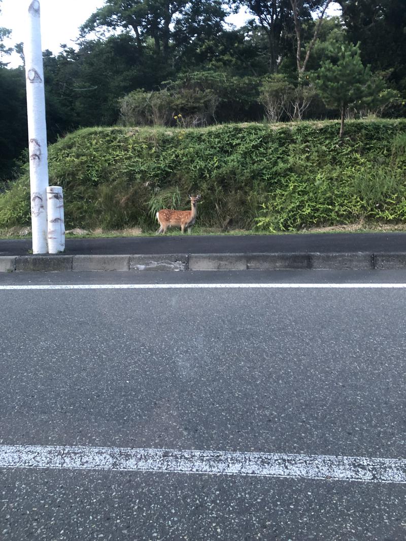 のぞぽんJPさんのアポイ山荘のサ活写真