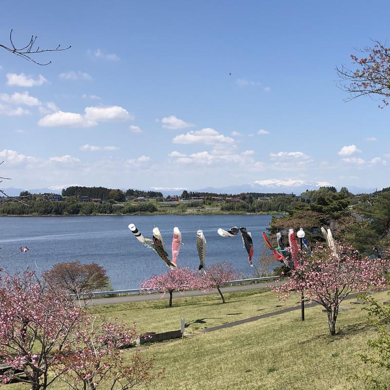 駒沢310"さんの長沼温泉ヴィーナスの湯のサ活写真