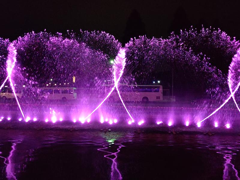 尿泉 尿さんの東京湯楽城のサ活写真