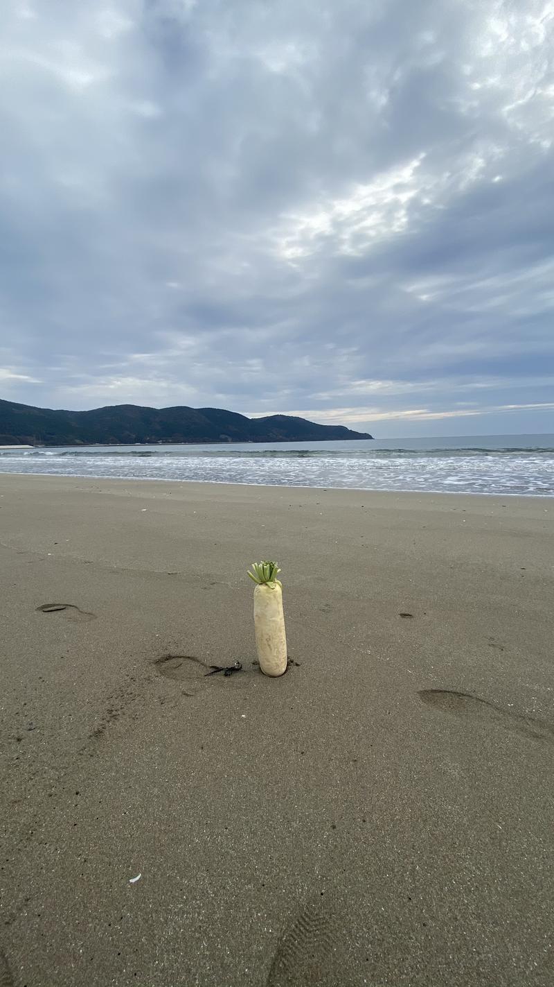 おどJAPANさんの天然温泉 元気の湯のサ活写真