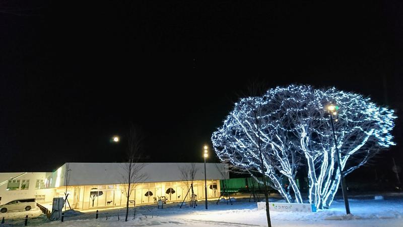 当然さんさんのスポーツアカデミー ブランチ 札幌月寒のサ活写真