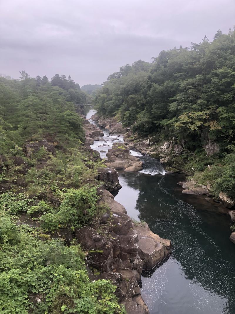 kimoさんの蔵ホテル一関のサ活写真