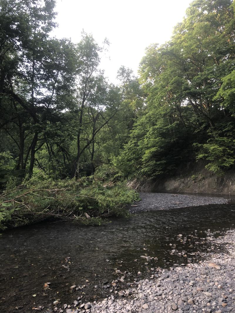 サライさんのさかえ湯のサ活写真