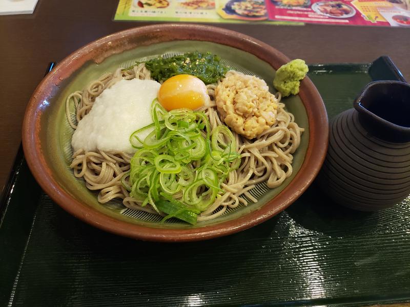 ほんまさんのスパメッツァ 仙台 竜泉寺の湯のサ活写真