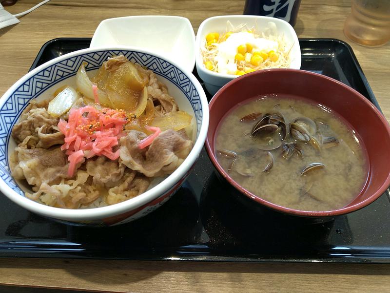 ほげほげーさんのスパメッツァ 仙台 竜泉寺の湯のサ活写真