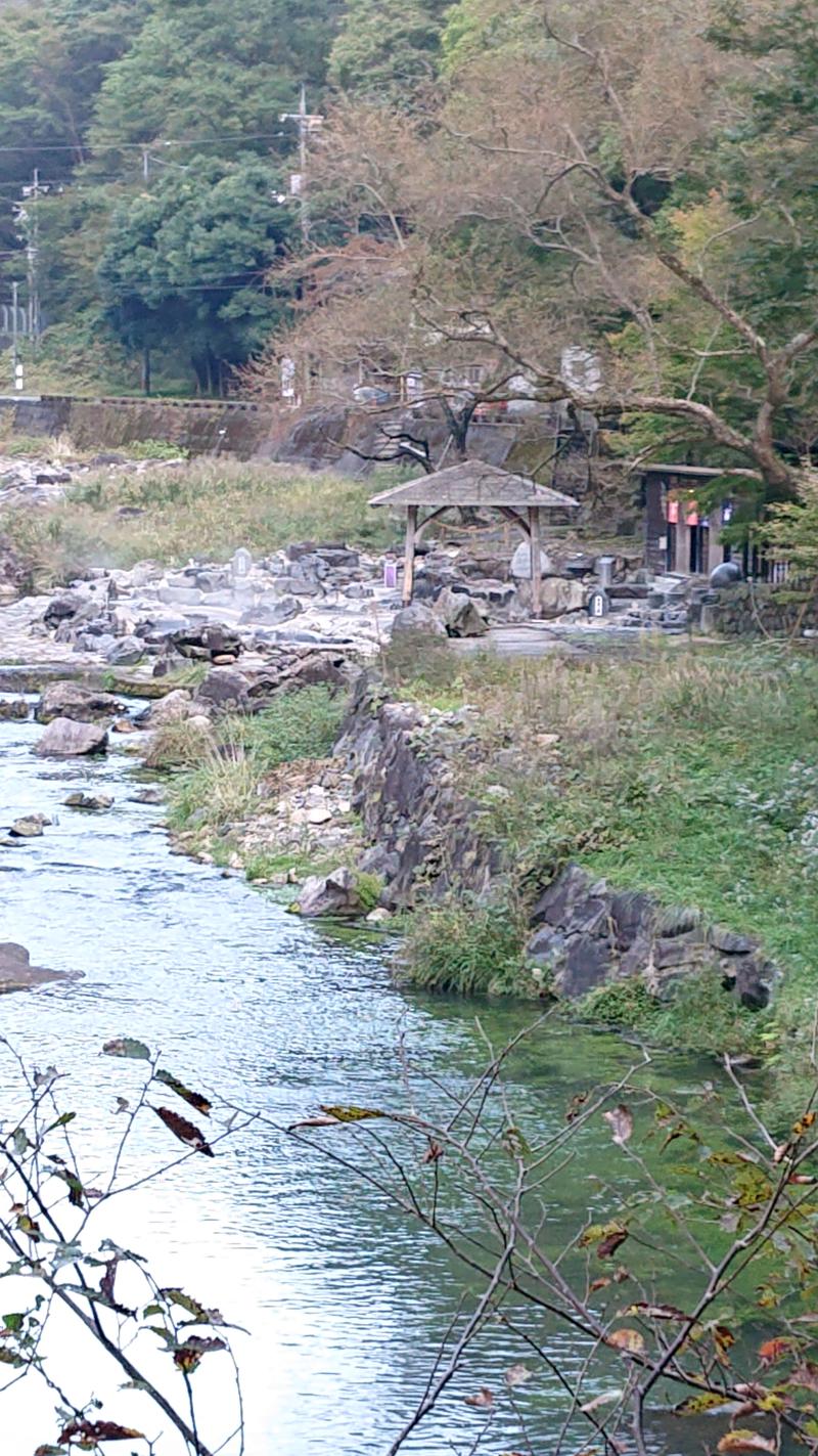 めいさんの湯原ふれあい交流センター 湯本温泉館のサ活写真