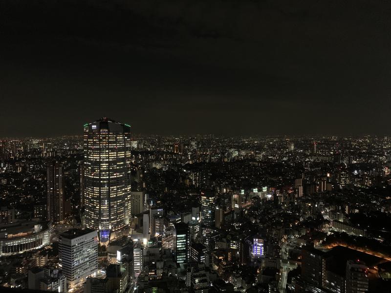 レンさんのザ・リッツ・カールトン スパ 東京のサ活写真