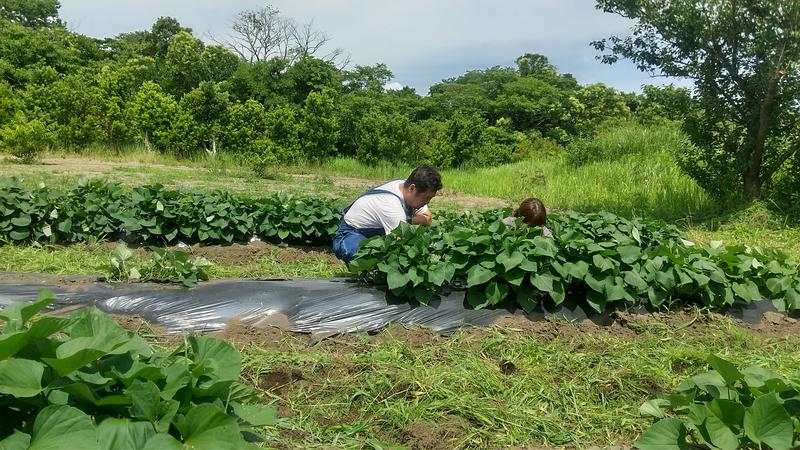 hiromi(葛西橋サウナクラブ事務局)さんのむつざわ温泉つどいの湯のサ活写真