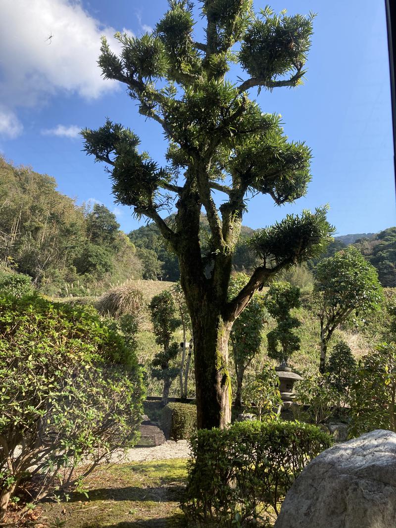 でこぽんさんの日帰りの湯  薬王寺の湯 漢方薬湯 偕楽荘のサ活写真