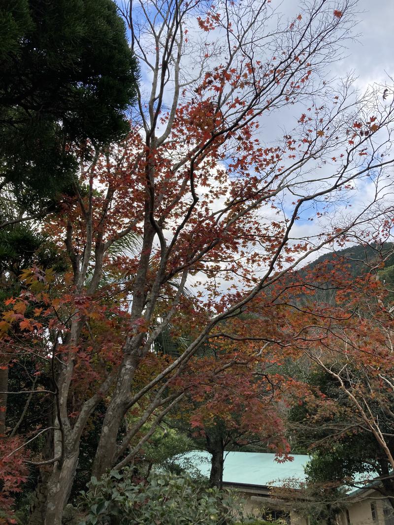 でこぽんさんの日帰りの湯  薬王寺の湯 漢方薬湯 偕楽荘のサ活写真