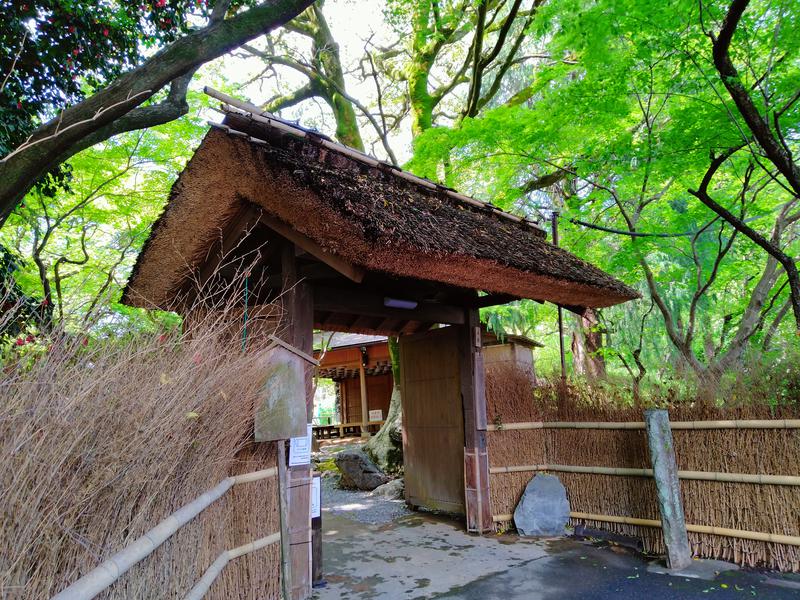 musouさんの池田温泉 新館のサ活写真